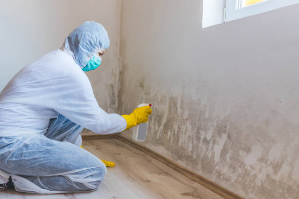 Bathroom Mold Removal assessment in Thompsonville bathroom